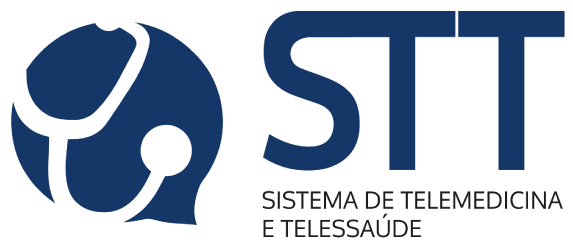 STT System Logo
